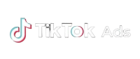 tiktok ads icon Paid Media 4