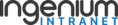 ingenium agencia de marketing digital instranet