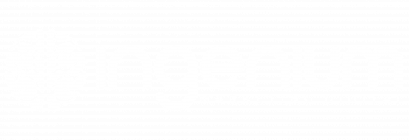 ingenium agencia de marketing digital logo blanco